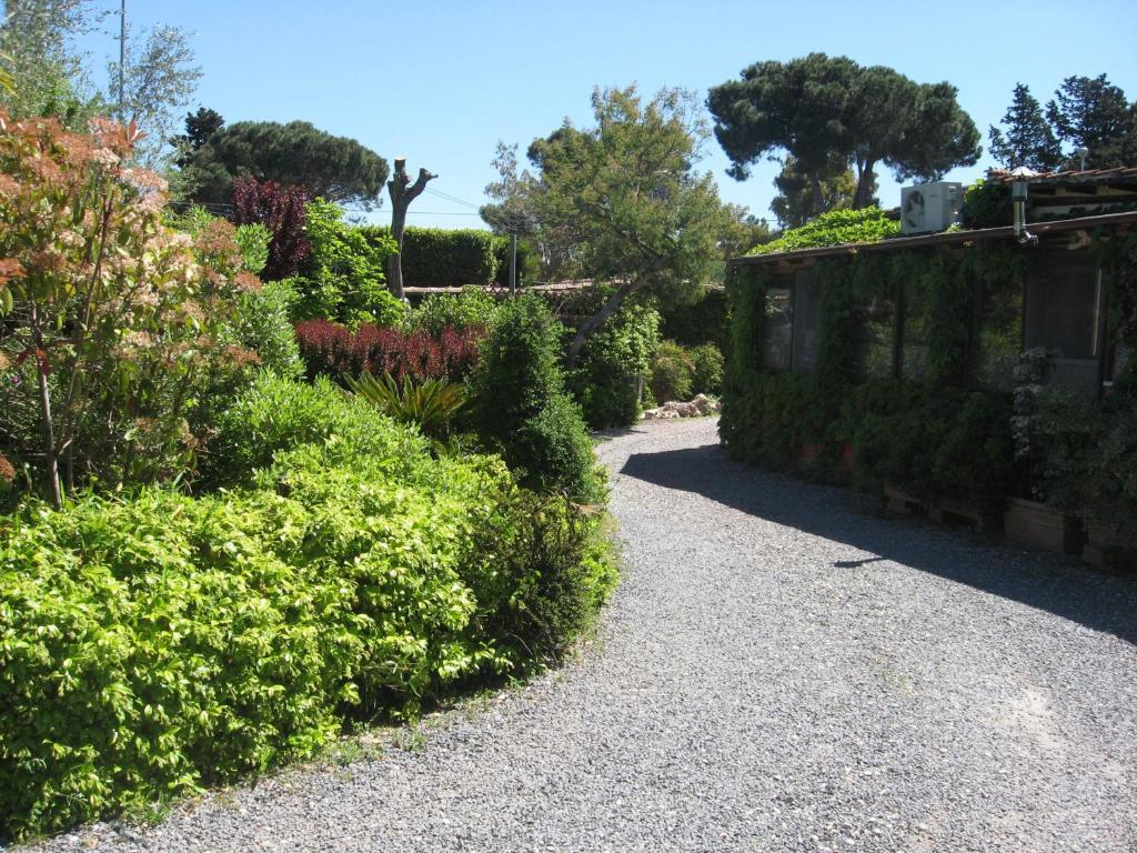 Country Apartments Castel di Decima Exterior foto